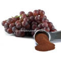 Extrato de semente de uva em pó 95% polifenóis